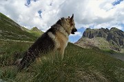 82 Dori, grande osservatrice !